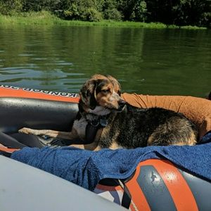 Meet your Posher, Sommer